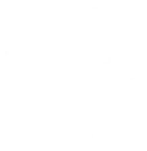 QR Scanner